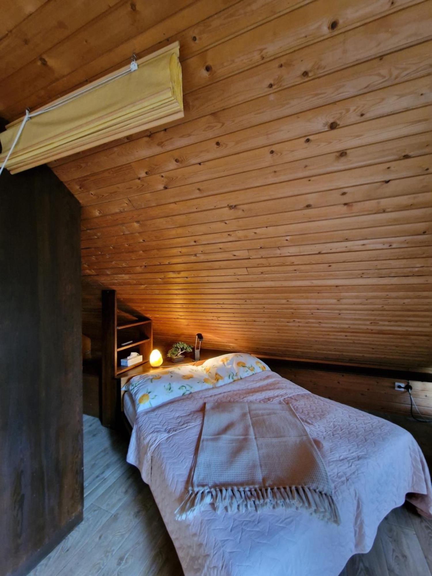 Vila Nana Bled Apartments & Rooms Dış mekan fotoğraf